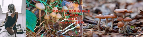 таблы Горняк