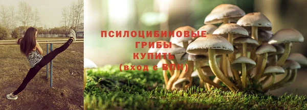 таблы Горнозаводск