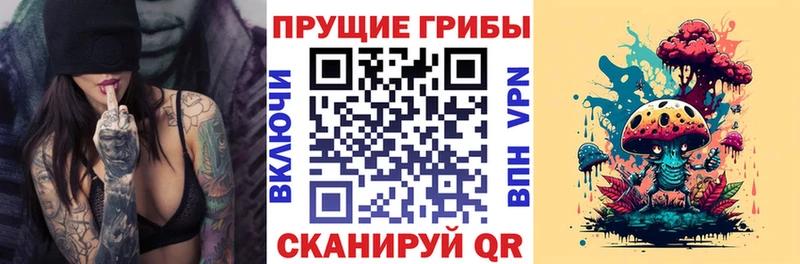 Купить закладки  Усть-Кут  Псилоцибиновые грибы ЛСД 